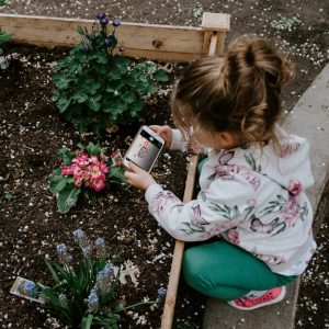 Aplicativo de aprendizagem para inglês